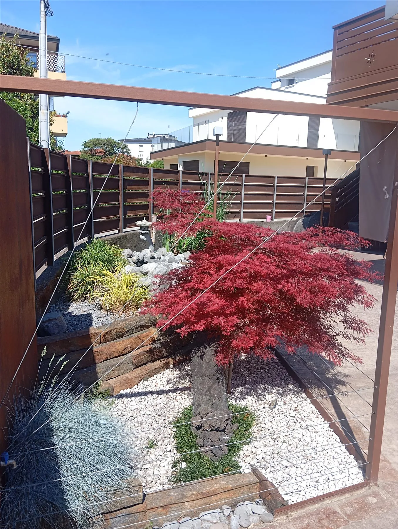 Giardino con acero rosso e recinzione riservata