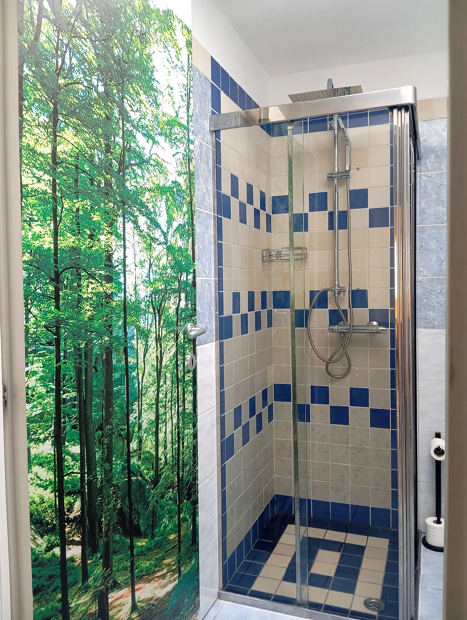 Doccia del bagno